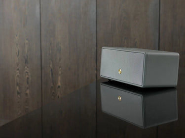 Audio Pro D2 Gris - EasyLounge - 7