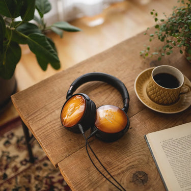 Audio-Technica ATH-WP900 Érable laqué et Noir - EasyLounge - 9