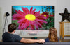 Optoma ALR100 - EasyLounge - 2