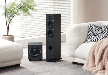 Elipson Horus 11F Noir Carbone - EasyLounge - 9