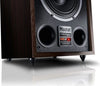 Magnat Transpuls 800A - EasyLounge - 5