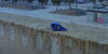 French Acoustics Proton V2 Bleu - EasyLounge - 9
