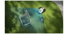 eufy E15 - EasyLounge - 11